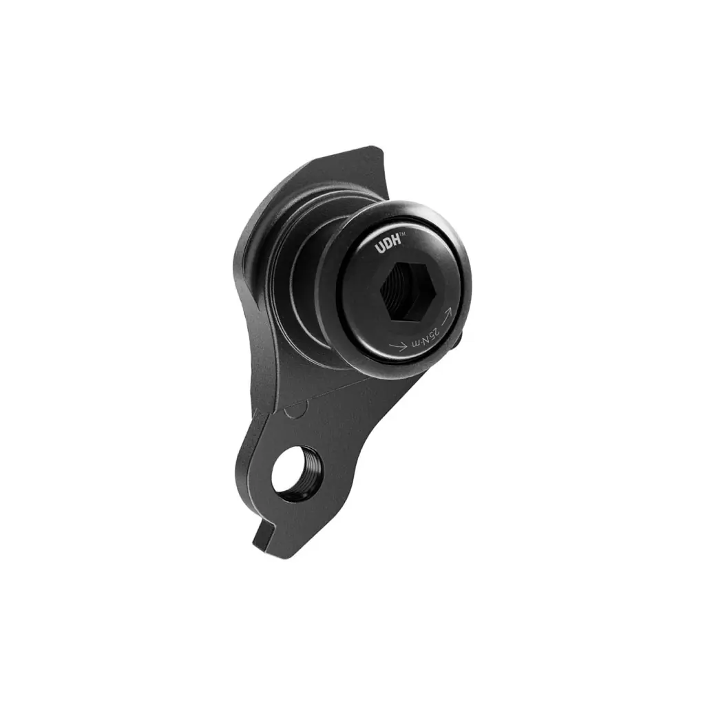 SRAM Universal Derailleur Hanger (UDH)